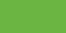 62039 Green fluo 60ml