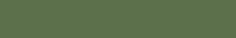 70.833 German Camouflage Bright Green